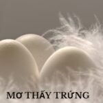 mơ thấy trứng