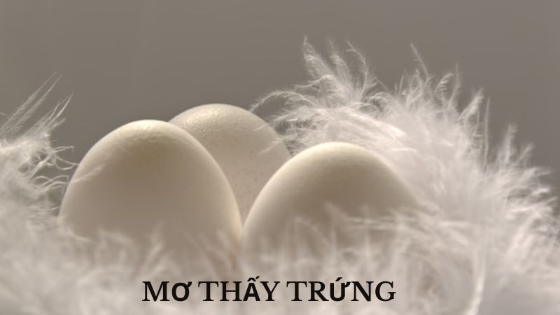 Mơ thấy trứng: Phân tích chi tiết các trường hợp và điềm báo