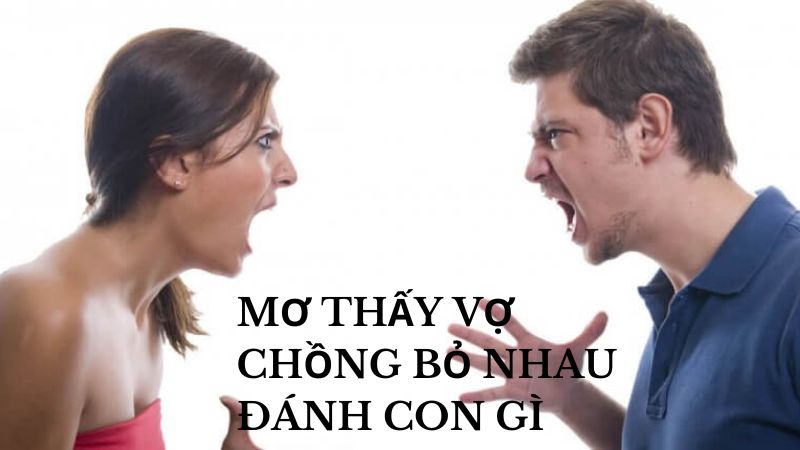 Mơ Thấy Vợ Chồng Bỏ Nhau Đánh Con Gì? Giải Mã Ý Nghĩa Và Các Con Số May Mắn